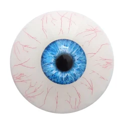 marielove Zubehör Für Dolls|Augen Ersatz für Dolls in vielen Farben